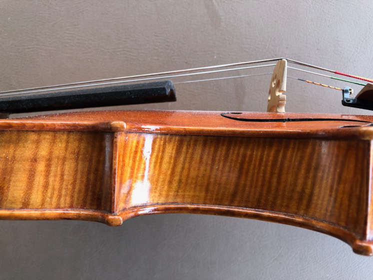 Nagyvary violins for sale