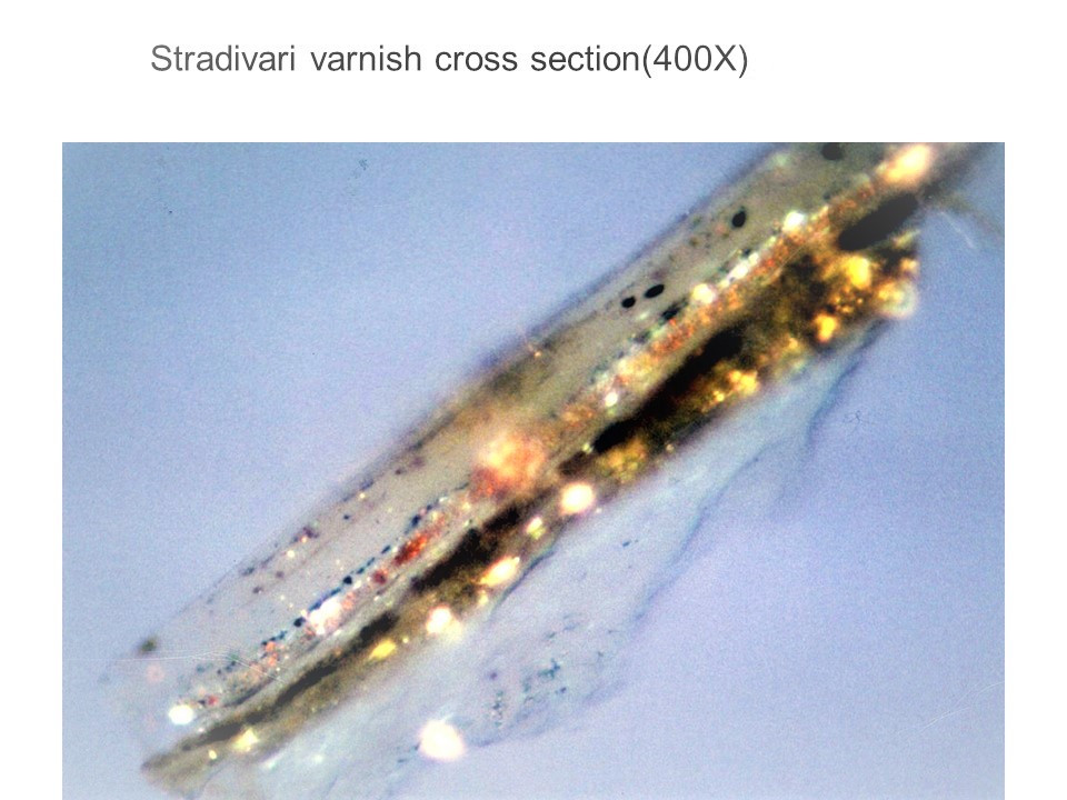 Stradivari varnish showing a complex stratigraphy, magnified 400x, 1987